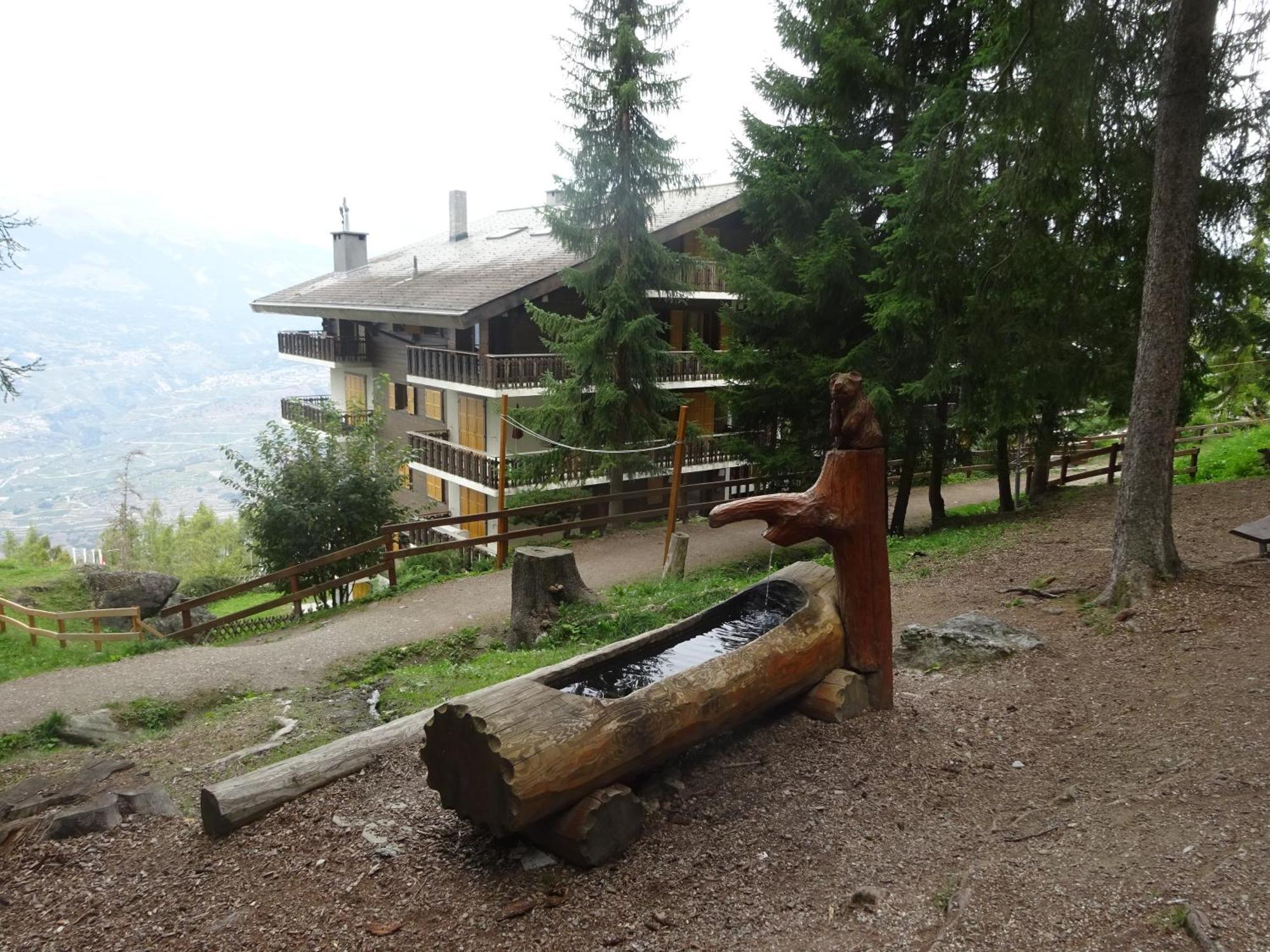 The White Fox'S Family Home - Veysonnaz Εξωτερικό φωτογραφία